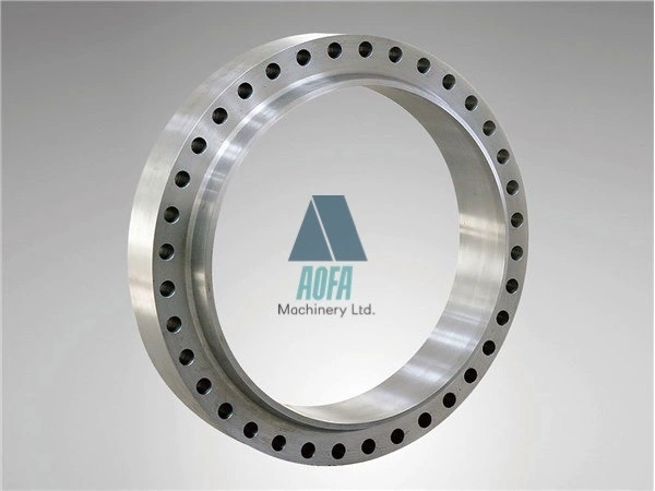 OEM Large-Diameter ANSI A105/Rst37.2/C22.8/Q235 Stainless Steel RF FF Wn Welding Neck Flange