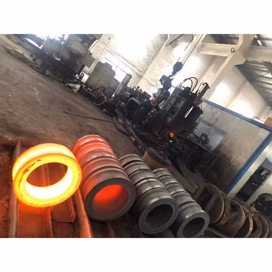 ANSI/DIN/En1092-1 鍛造カーボン/ステンレス鋼 Pn10/16 溶接ネック/チェコ/スリップオン/ラップジョイント/シート/ソケット RF/FF 管フランジ